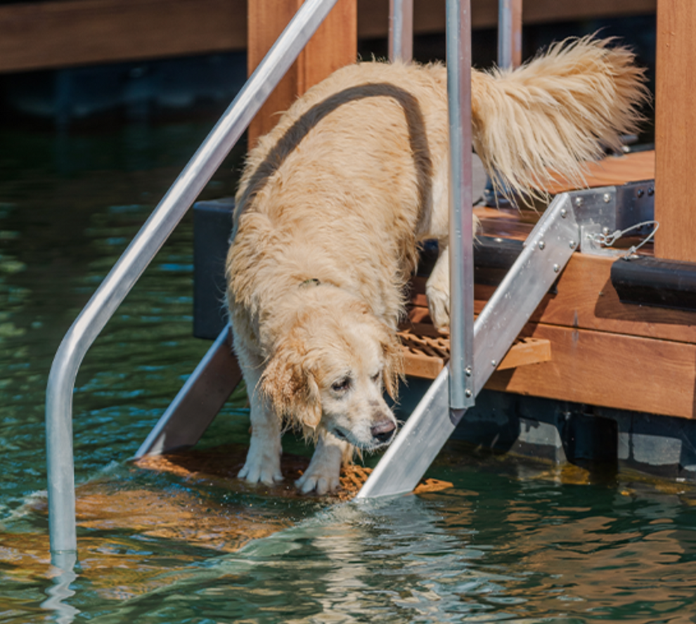 LakeEZE® 5-Step Ladder – Custom Dock Systems